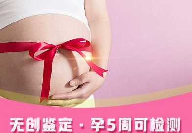 陕西需要怎么办理孕期亲子鉴定,