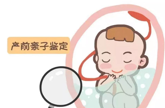 刚怀孕如何检测孩子父亲是谁[陕西],怀孕亲子鉴定准确吗