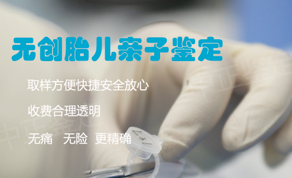 刚怀孕陕西需要怎么做产前亲子鉴定,陕西做怀孕亲子鉴定准确吗